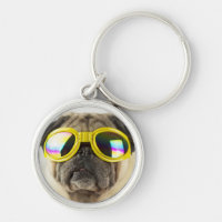 Pug com óculos