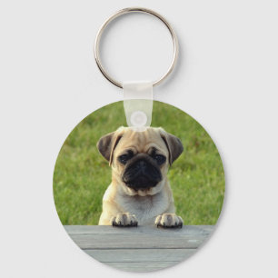 Chaveiro Pug Puppy