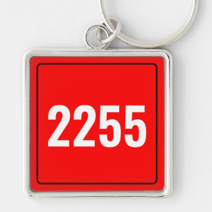 Chaveiro Pulseira com Placa de Identificação de Veículo Per
