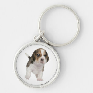 Chaveiro Pulseira de Cachorro Beagle Personalizada