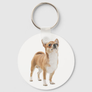 Chaveiro Pulseira de Cachorro Chihuahua Filhote