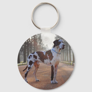 Chaveiro Pulseira de cachorro Grande Dinamarquês com 2 foto