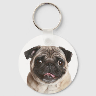 Chaveiro Pulseira de Cachorro Pug Fofinho
