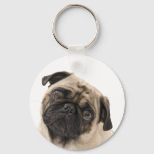 Chaveiro Pulseira de Cachorro Pug Fofinho