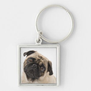 Chaveiro Pulseira de Cachorro Pug Fofinho