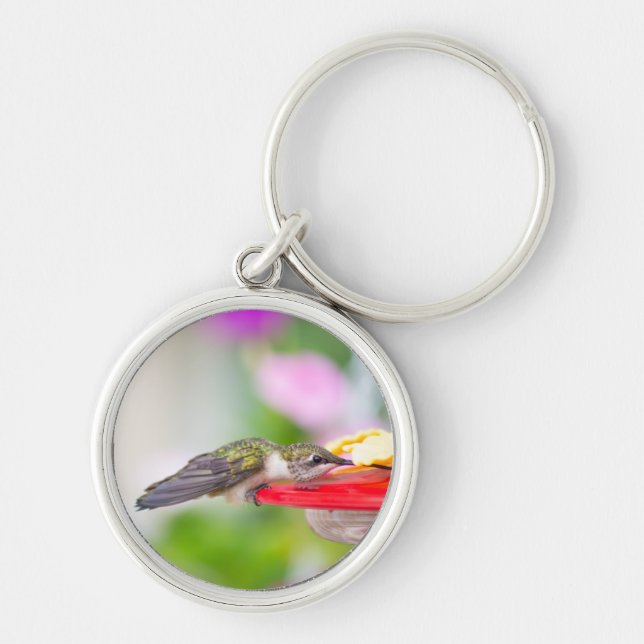 Chaveiro Pulseira de Chave Beija-Flor-de-Pescoço-Rubro #062 (Frente)