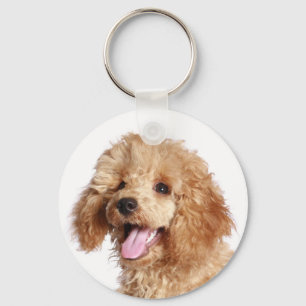 Chaveiro Pulseira de Chave com Poodle Apricot Personalizado