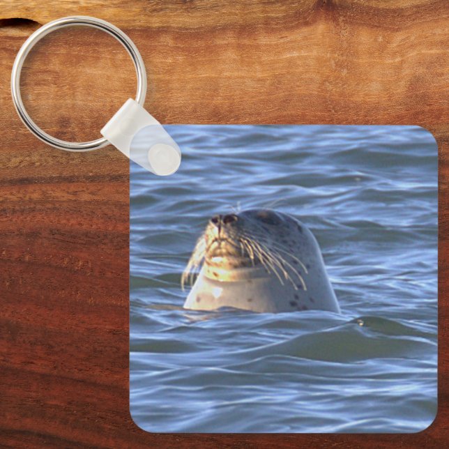 Chaveiro Pulseira de Chaves com Foto de Foca (Frente)