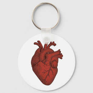 Chaveiro Pulseira de Coração Anatômico Ilustrado – Ilustraç