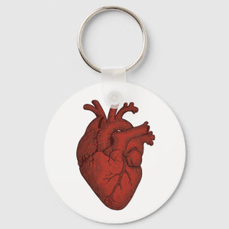Chaveiro Pulseira de Coração Anatômico Ilustrado – Ilustraç