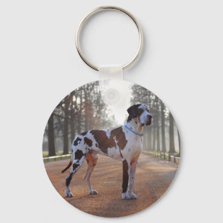 Chaveiro Pulseira de Dane Grande Manchado – Presente de Dan