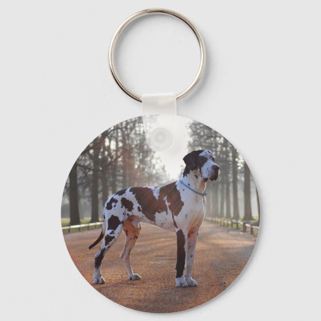 Chaveiro Pulseira de Dane Grande Manchado – Presente de Dan (Frente)