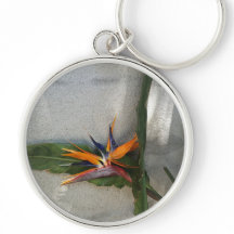 pulseira de flor de estrelítzia