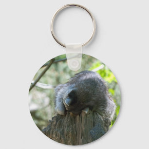 Chaveiro Pulseira de Guaxinim Dormindo