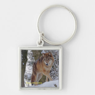 Chaveiro Pulseira de lobo de Yellowstone