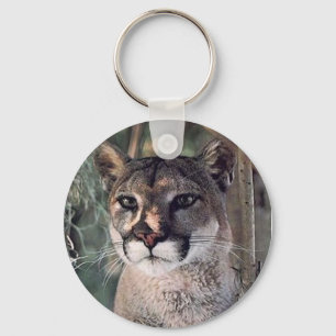 Chaveiro puma assentado