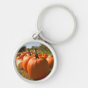 Chaveiro Pumpkin Harvest