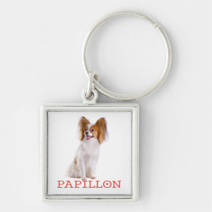 Chaveiro Puppy Cachorro Papillon Marrom e Branco Amor Verme