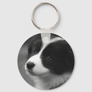 Chaveiro Puppy de Collie de Borda