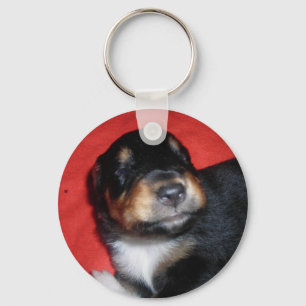 CHAVEIRO PUPPY LOVE