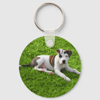 Chaveiro Puppy Pit Bull T-Bone