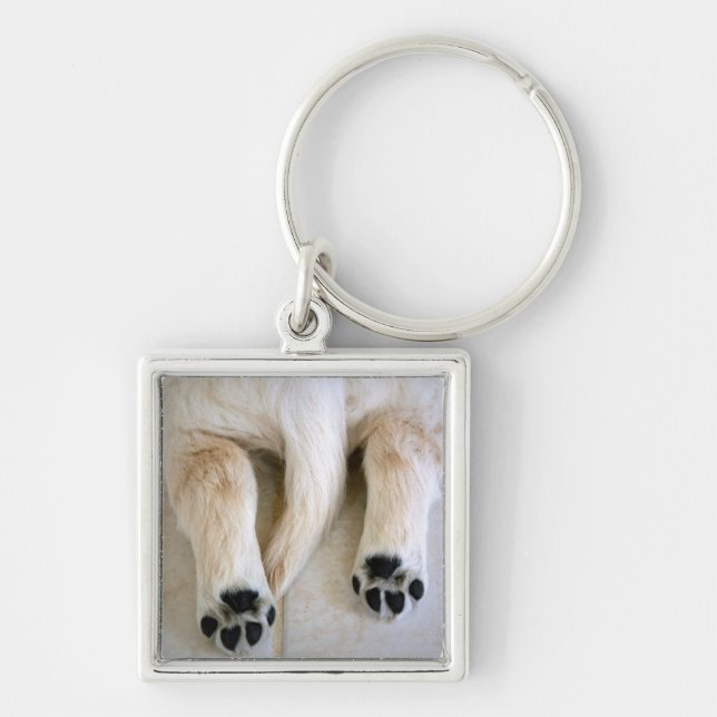 Chaveiro Puppy Toes do ouro Retriever (Frente)