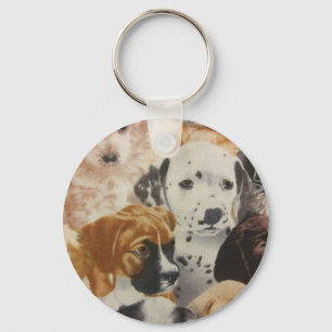 Chaveiro Pups Dalmacianos e Boxer