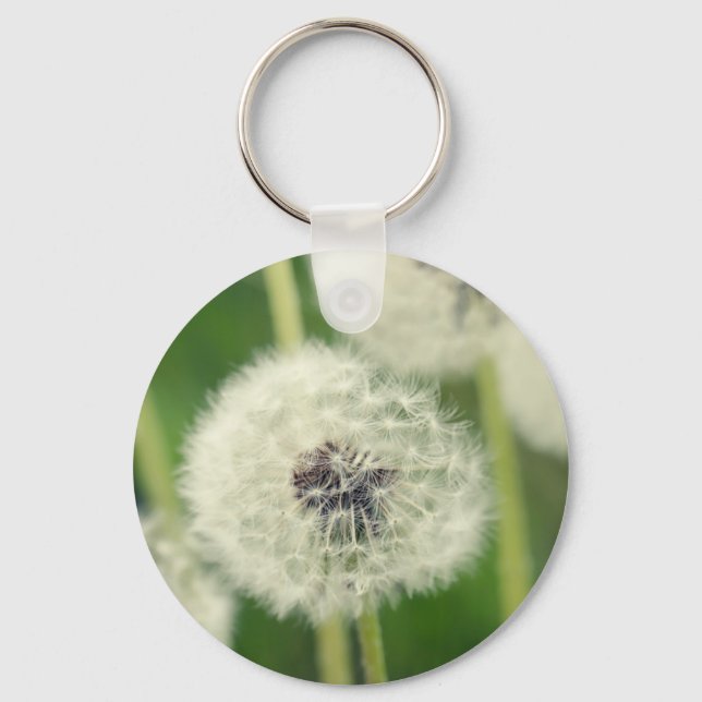 Chaveiro Pusteblume 2013 2 (Frente)