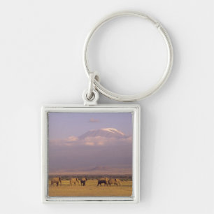 Chaveiro Quênia: Parque Nacional de Amboseli, Elefantes