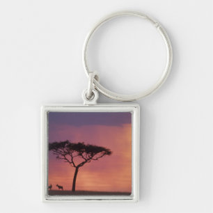 Chaveiro Quênia: Parque Nacional Masai Mara, Pôr do sol.