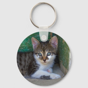 Chaveiro Querido Tiger Cat Baby