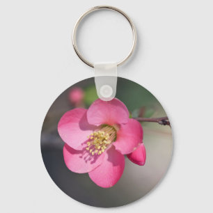 Chaveiro Quince Rosa Perfeito em Flor