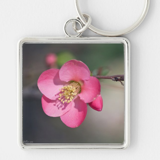 Chaveiro Quince Rosa Perfeito em Flor (Frente)