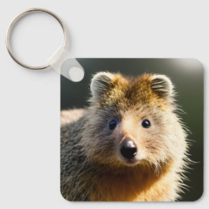 Chaveiro Quintin O Ginger Quokka, Keyring