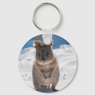 Chaveiro Quokka: O animal o mais feliz no mundo