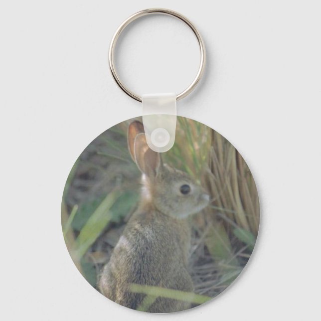 Chaveiro Rabbit selvagem (Frente)