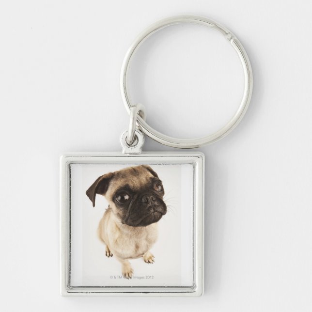 Chaveiro Raça pequena do cão com a cara açaimada curta (Frente)