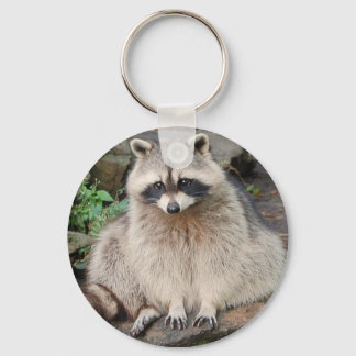 Chaveiro Raccoon