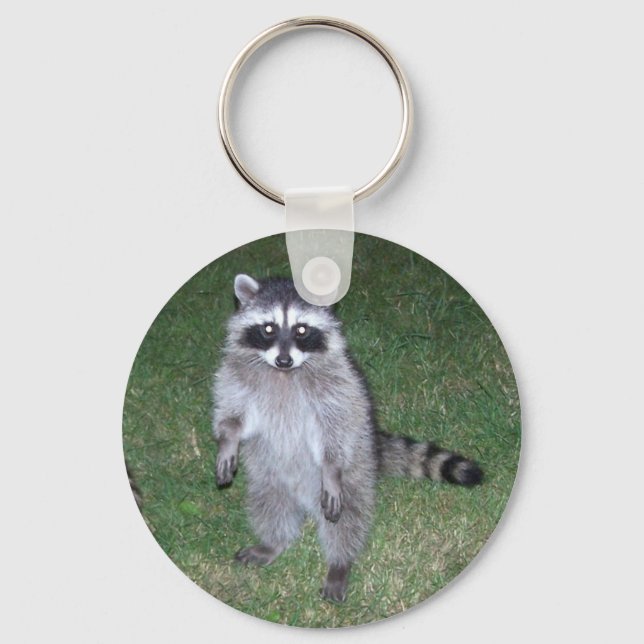 Chaveiro Raccoon (Frente)