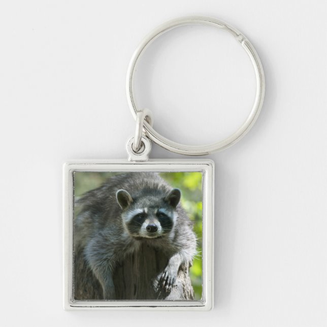 Chaveiro Raccoon (Frente)