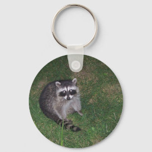 Chaveiro Raccoon