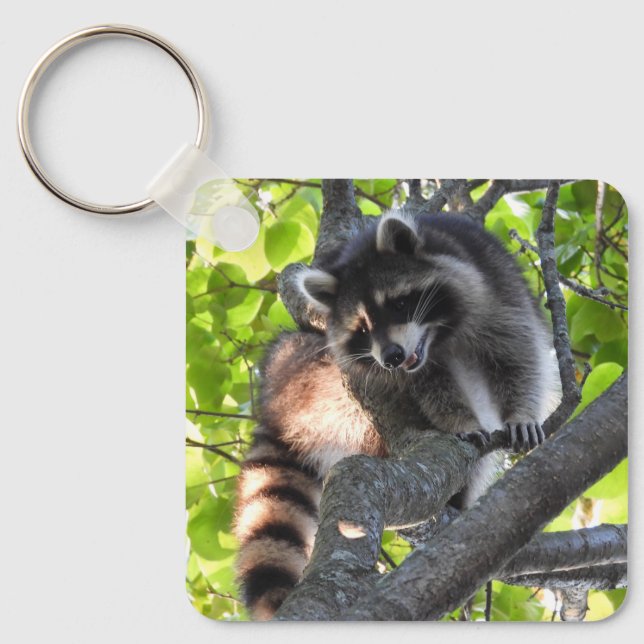 Chaveiro Raccoon em uma árvore (Frente)