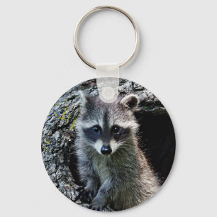 Chaveiro Raccoon no Den