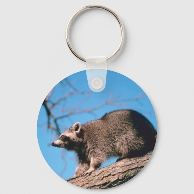 Chaveiro Raccoon Perch (Frente)
