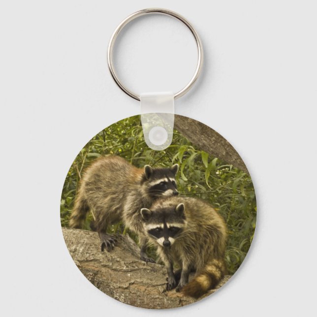 Chaveiro Raccoons (Frente)
