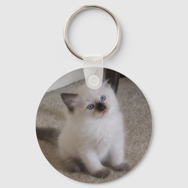 Chaveiro Ragdoll Kitten (Frente)