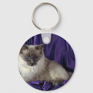 Chaveiro Ragdoll, ponto azul