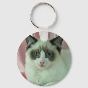 Chaveiro Ragdoll, selo bicolor