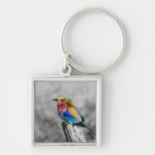 Chaveiro Rainbow Bird