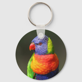 Chaveiro Rainbow Lorikeet